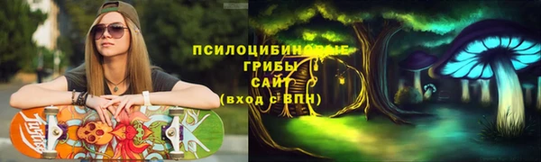 бошки Алексеевка