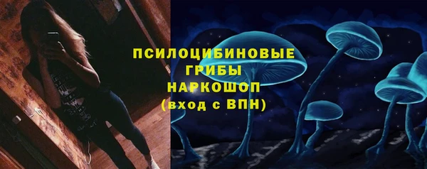 скорость Алексин